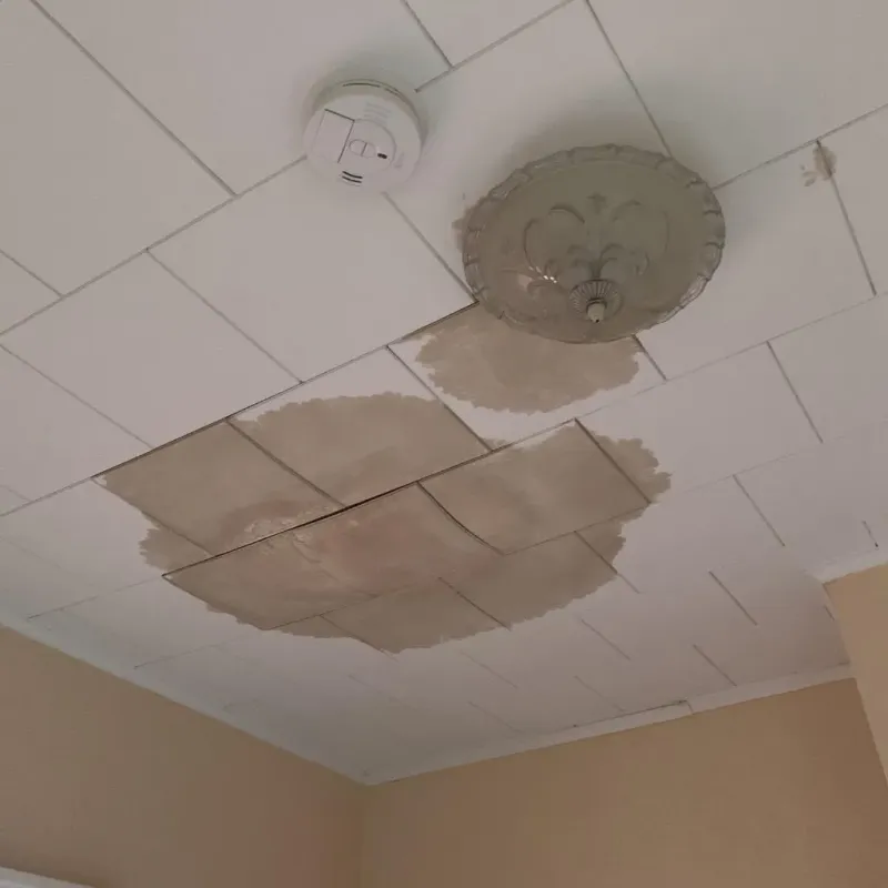 Ceiling Water Damage Repair in McAlester, OK