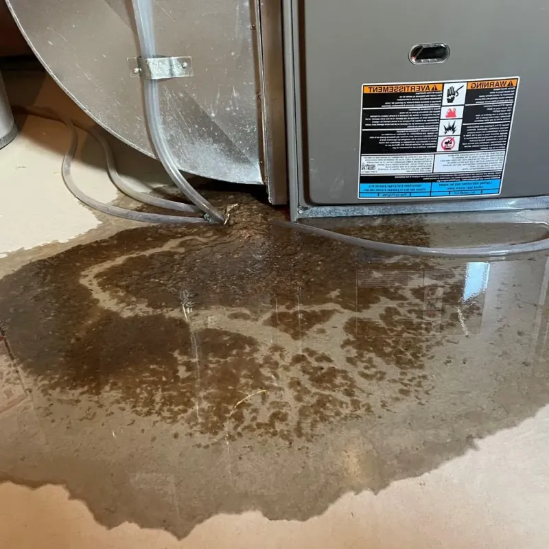 Pipe Burst and Leak Restoration in McAlester, OK